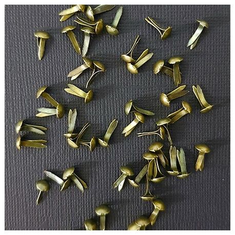 BRADS LATÓN 50 UDS.