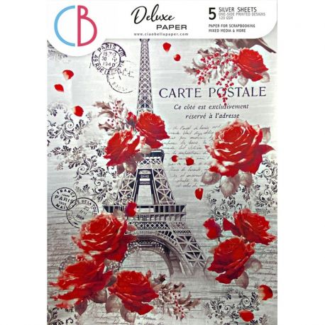 Deluxe Paper Silver  PARIS A4