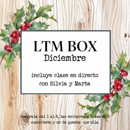 LTM BOX - DICIEMBRE 2024