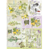 Lamina de seda 50x70 -  La Tiendita Shabby chic