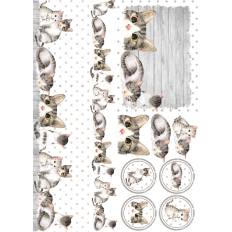 Lamina de seda 50x70 -  La Tiendita Shabby chic