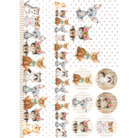 Lamina de seda 50x70 -  La Tiendita Shabby chic