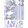 Lamina de seda 50x70 -  La Tiendita Shabby chic