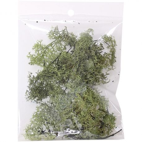 MUSGO VERDE NATURAL 10GR. APROX.