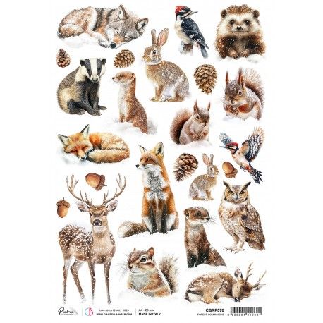 Papel de Arroz A4 Ciao Bella - FOREST COMPANIONS