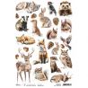 Papel de Arroz A4 Ciao Bella - FOREST COMPANIONS