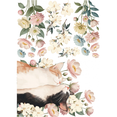 Sedas Sublimables 50x70 -  La Tiendita Shabby chic