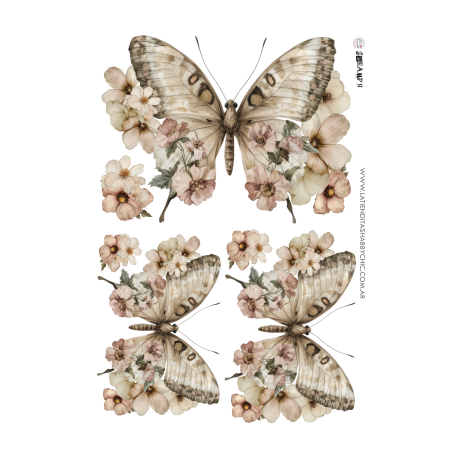 DECO TRANSFER A5 - Tiendita Shabby Chic